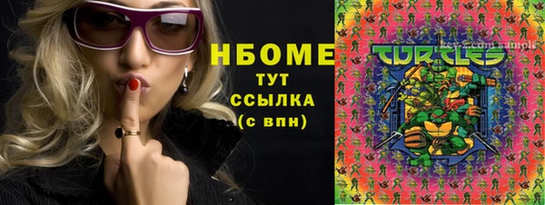 спайс Гусь-Хрустальный