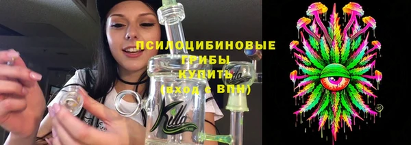 гашик Горно-Алтайск