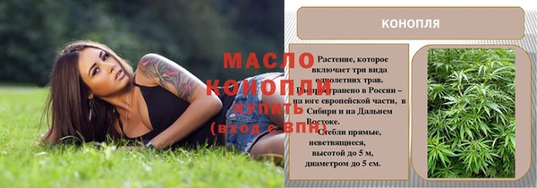 винт Горняк